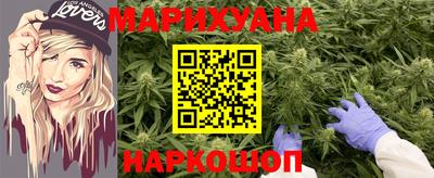 индика Моздок