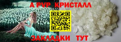 индика Моздок