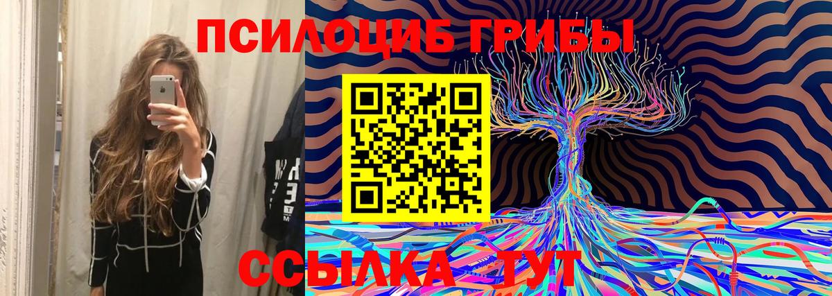 Татарск  Галлюциногенные грибы Psilocybe  Вход с VPN  Галлюциногенные грибы MAGIC MUSHROOMS 