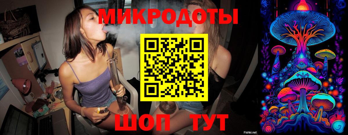 Псилоцибиновые грибы Psilocybine cubensis Татарск